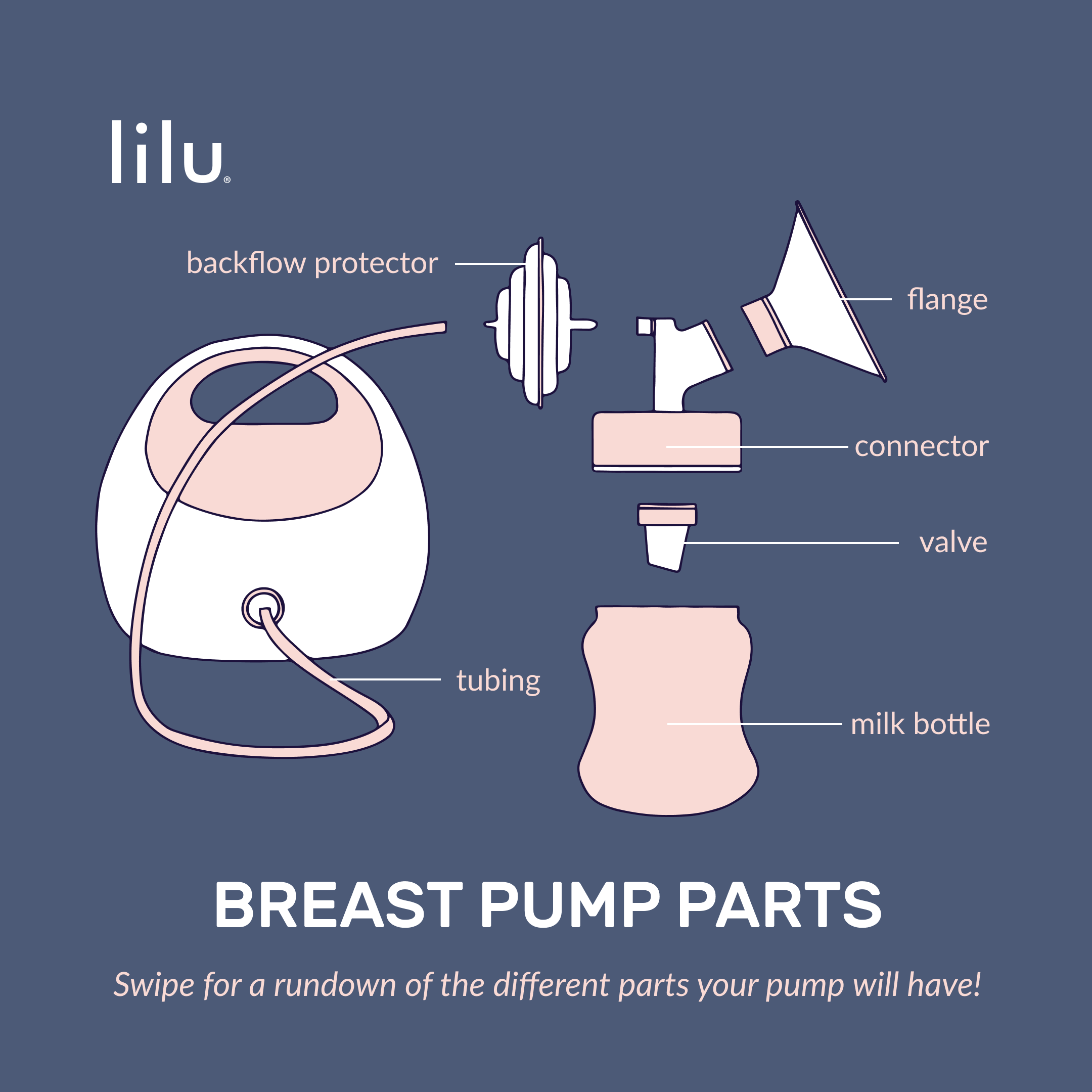 Aware of the BRA PARTS and their ROLEs - The Importance of a Well